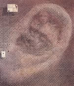 Сикстинская Мадонна 1958 Сикстинская Мадонна 1958